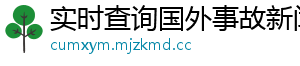 实时查询国外事故新闻网
